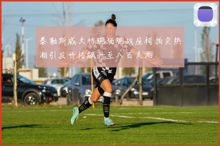 泰勒斯威夫特现场观战座椅拍卖热潮引发价格飙升至八百美元