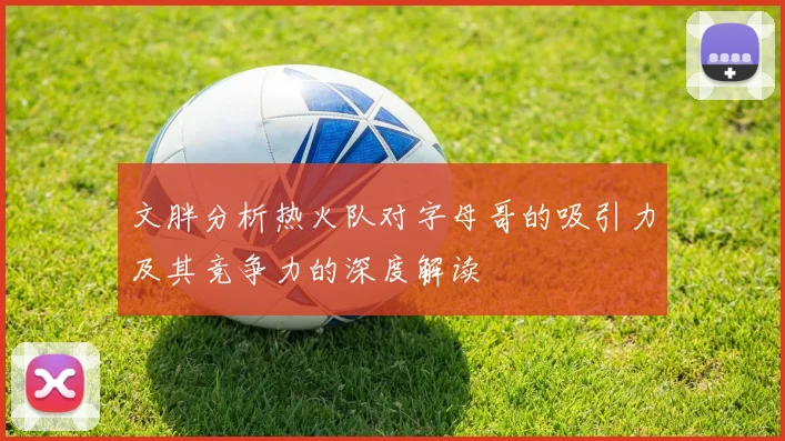 文胖分析热火队对字母哥的吸引力及其竞争力的深度解读